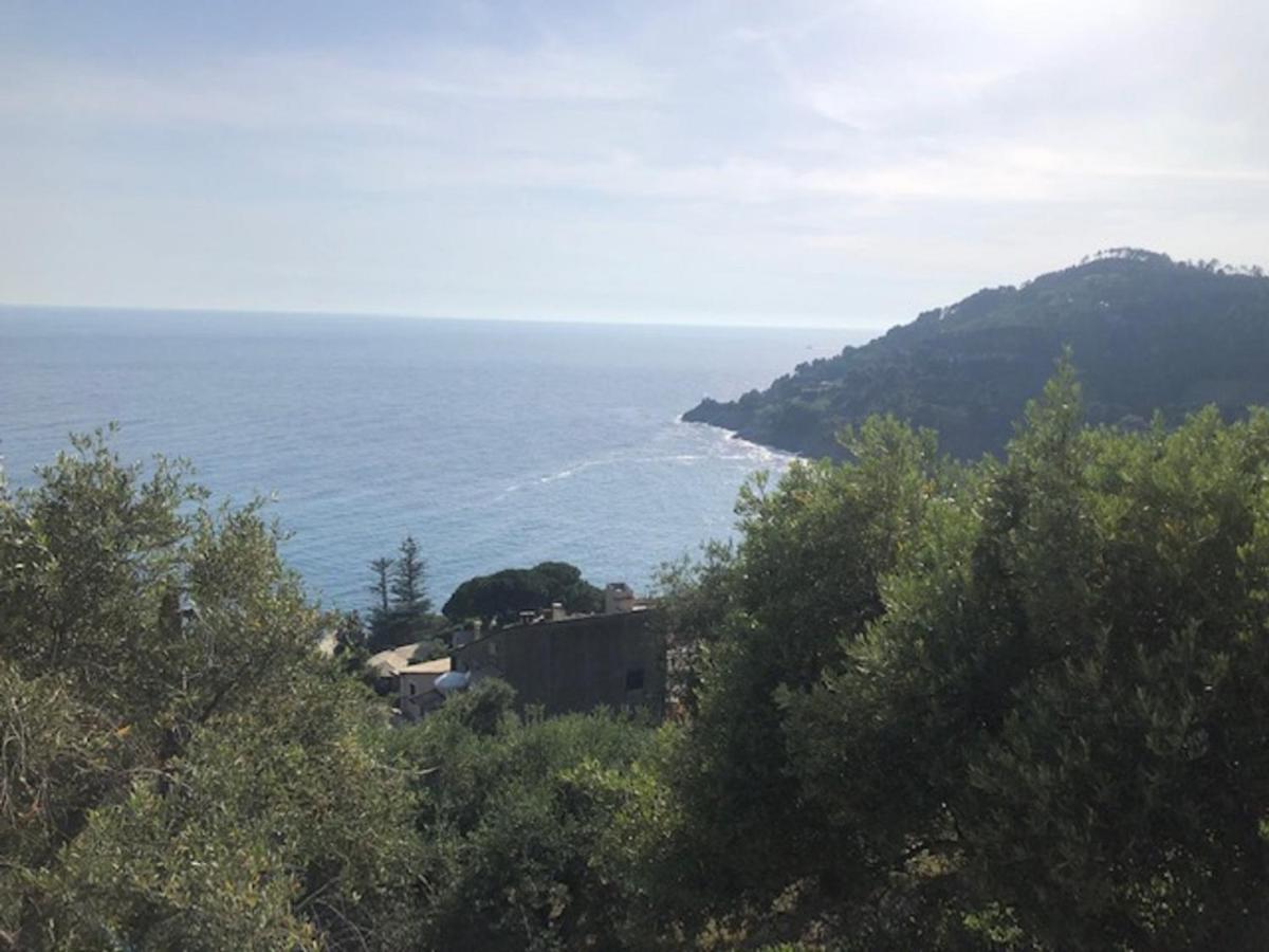 Διαμέρισμα Casa Orchidea - Vista Mare Meravigliosa